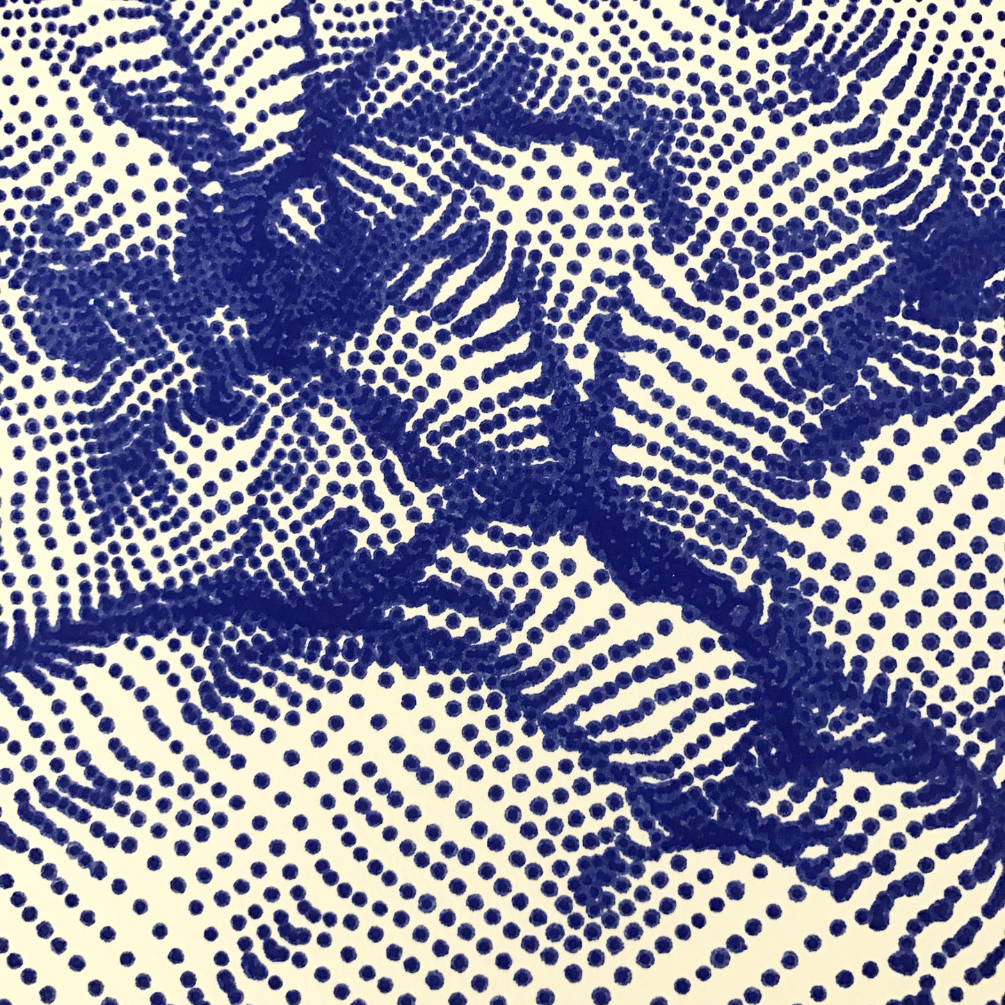Surface 1.1 Limited edition