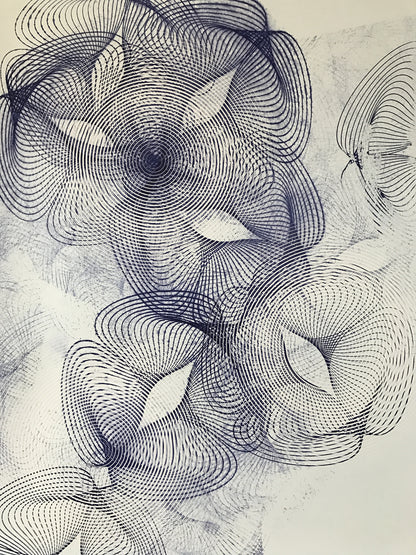 Untitled 1.64
